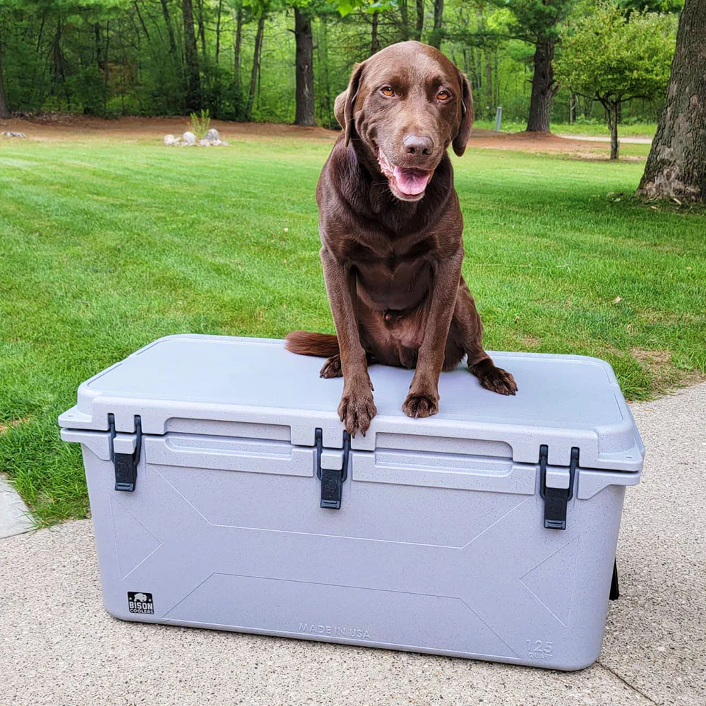 Gray 125 QT Bison Cooler - Image 2